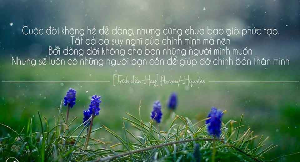 nhung cau noi hay ve tinh yeu va cuoc song