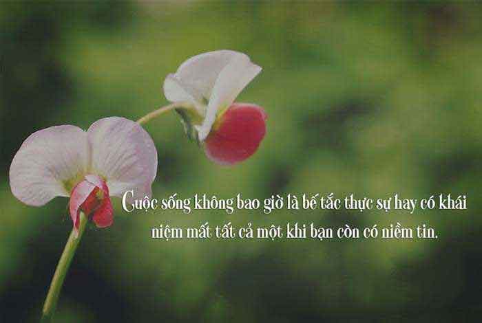 nhung cau noi hay ve tinh yeu va cuoc song