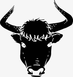 Những tuổi hợp nhau