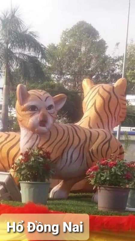 Chiêm ngưỡng Ông Hổ chào đón năm Nhâm Dần 2023 48