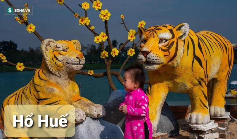 Chiêm ngưỡng Ông Hổ chào đón năm Nhâm Dần 2023 46