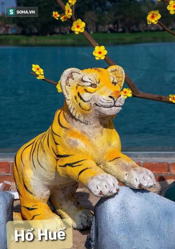 Chiêm ngưỡng Ông Hổ chào đón năm Nhâm Dần 2023 45