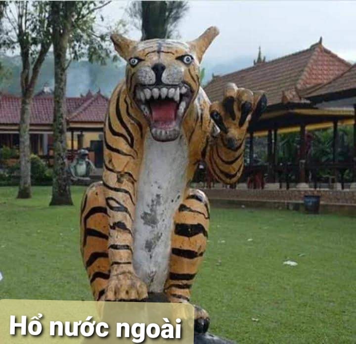 Chiêm ngưỡng Ông Hổ chào đón năm Nhâm Dần 2023 42