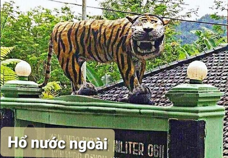 Chiêm ngưỡng Ông Hổ chào đón năm Nhâm Dần 2023 40