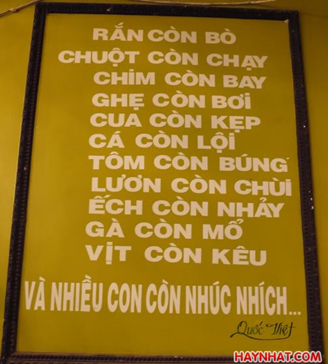 Còn… sống cả!!!