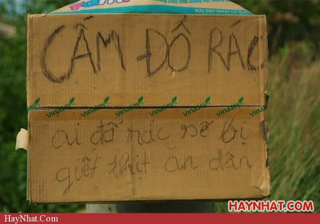 Đổ rác là giết thịt 2