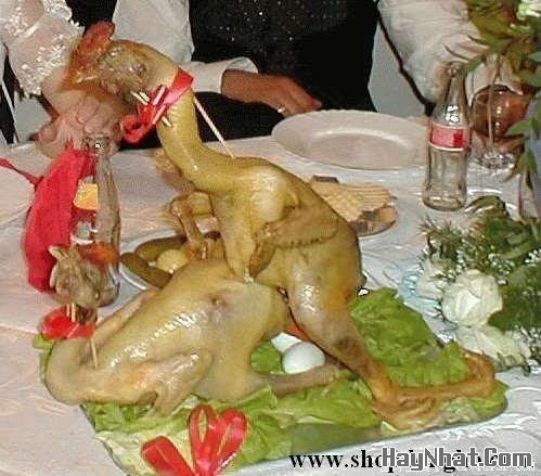 Ảnh vui, Hình Vui, Tranh vui