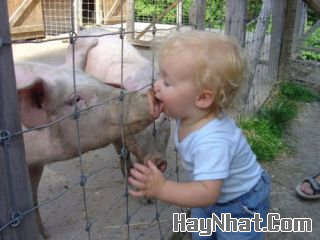 Ảnh vui, hình vui, tranh vui