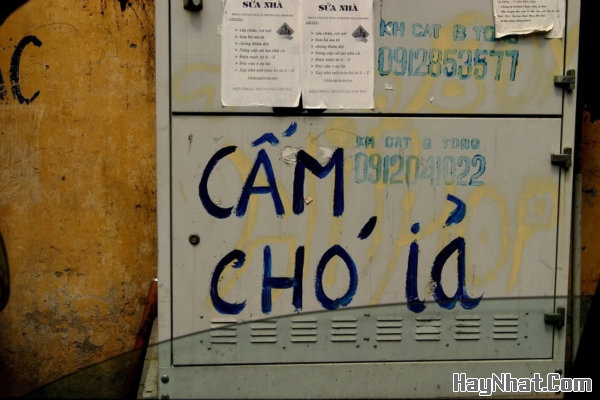 Ảnh vui, Hình Vui, Tranh vui