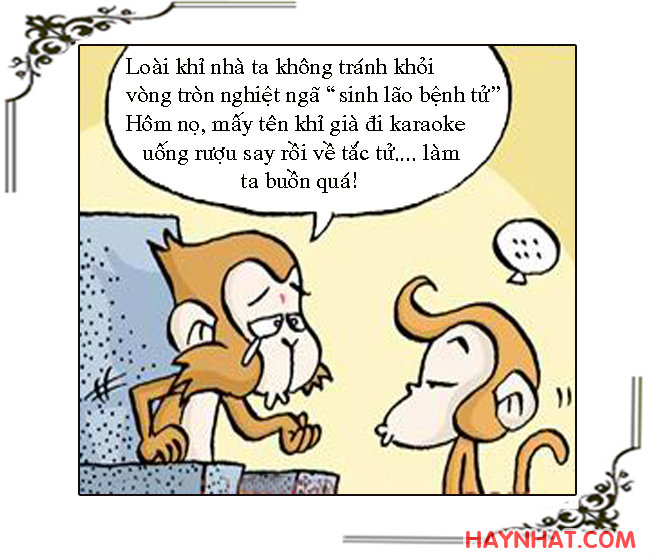 Tây du ký, Tây Du Ký Hài, Tôn Ngộ Không