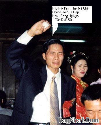 Ảnh Vui, Hình vui, Tranh vui