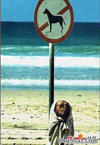 Ảnh cười, Ảnh vui, funny photo, Hình ảnh vui, Hình cười bể bụng, Hình Hài Hước, Hình vui, Tranh hài hước, tranh vui, Tranh vui hài hước, Tranh vui Hội quán cười, Tranh vui nước ngoài