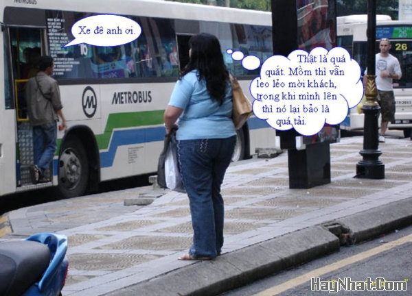 Nón Bảo hiểm kiểu Úc, hinh vui, anh vui