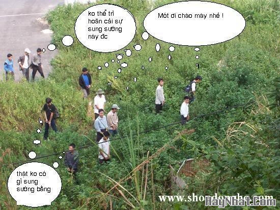 Ảnh vui, Hình Vui, Tranh vui