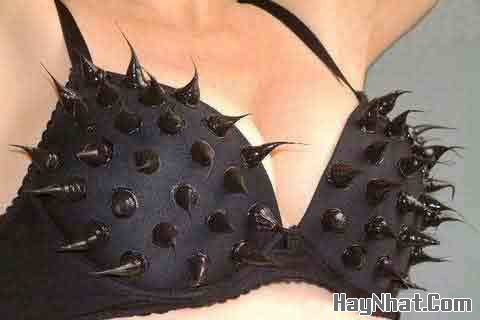 Ảnh Vui, Hình vui, Tranh vui