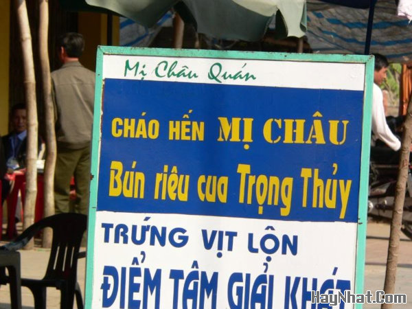 Ảnh vui, Hình Vui, Tranh vui