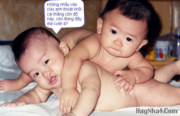 Ảnh vui, hình vui, tranh vui