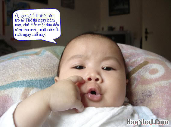 Ảnh vui, hình vui, tranh vui