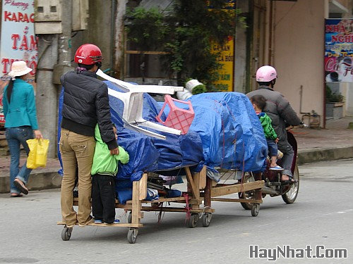 Hình vui, Ảnh vui, Tranh vui