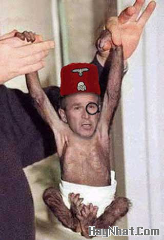 Ảnh vui, hình vui, tranh vui