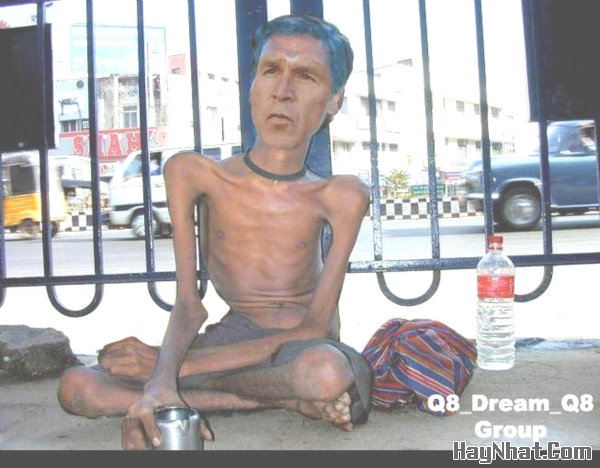 Ảnh vui, hình vui, tranh vui