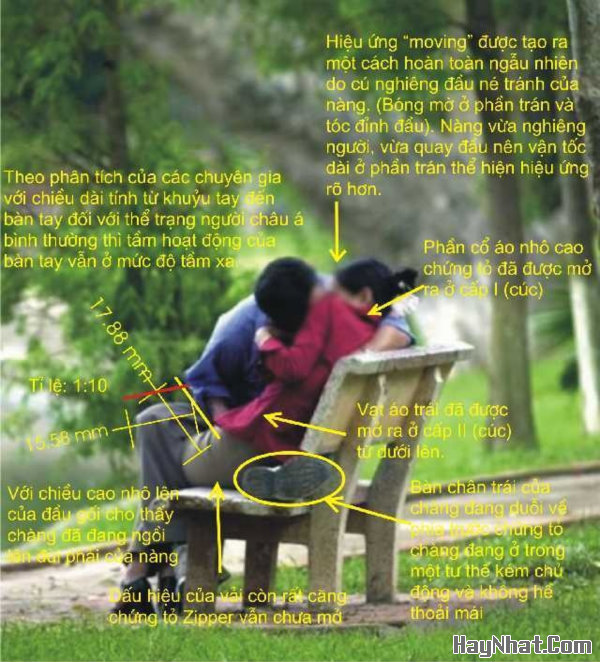 Ảnh vui, Hình Vui, Tranh vui