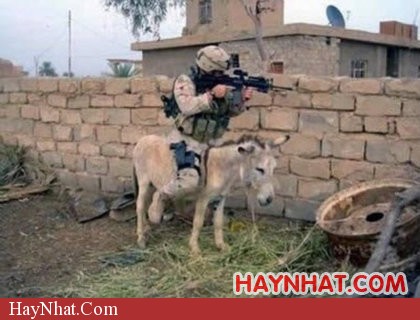 Chùm ảnh vui: Bộ đội 8