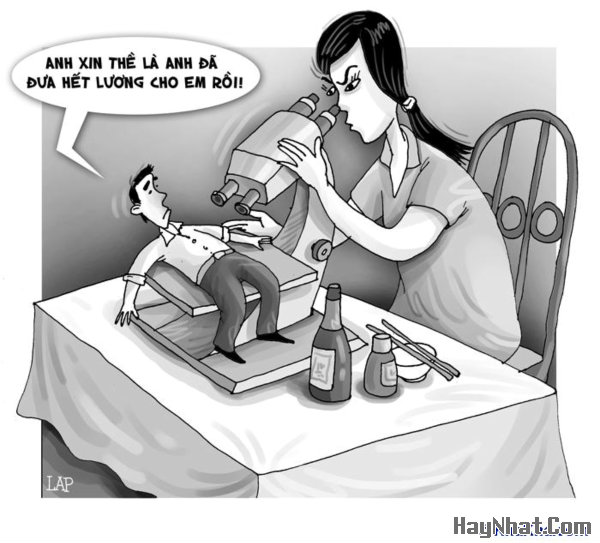 Hình vui, Ảnh vui, Tranh vui