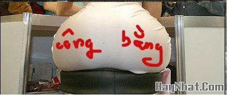 Ảnh vui, Hình Vui, Tranh vui