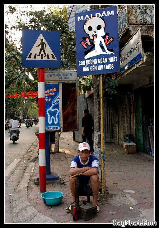 Ảnh vui, Hình Vui, Tranh vui