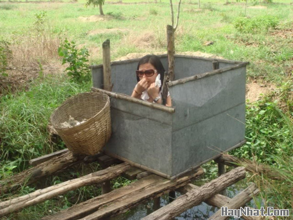 Ảnh vui, Hình Vui, Tranh vui